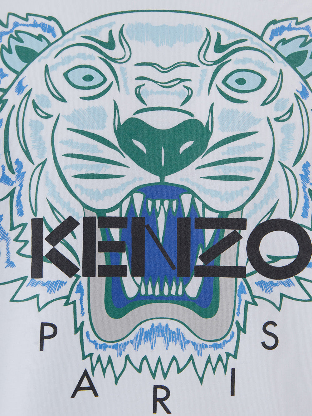 Fizigo