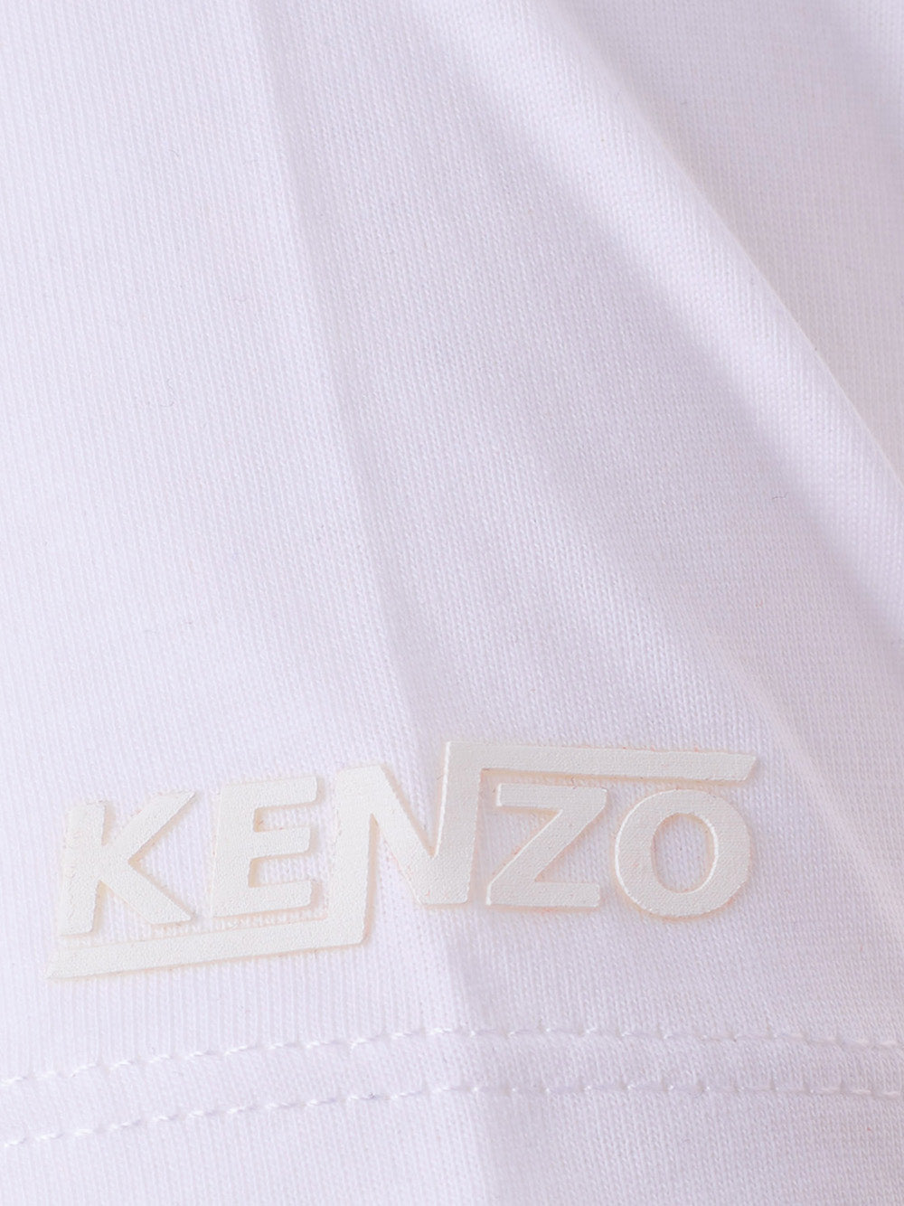 Fizigo