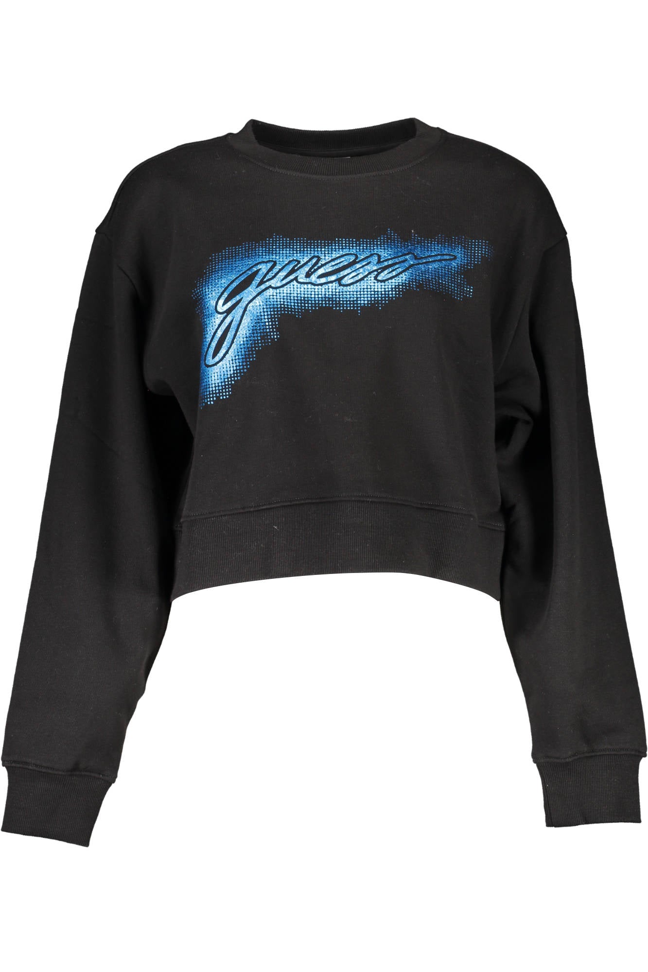 Fizigo