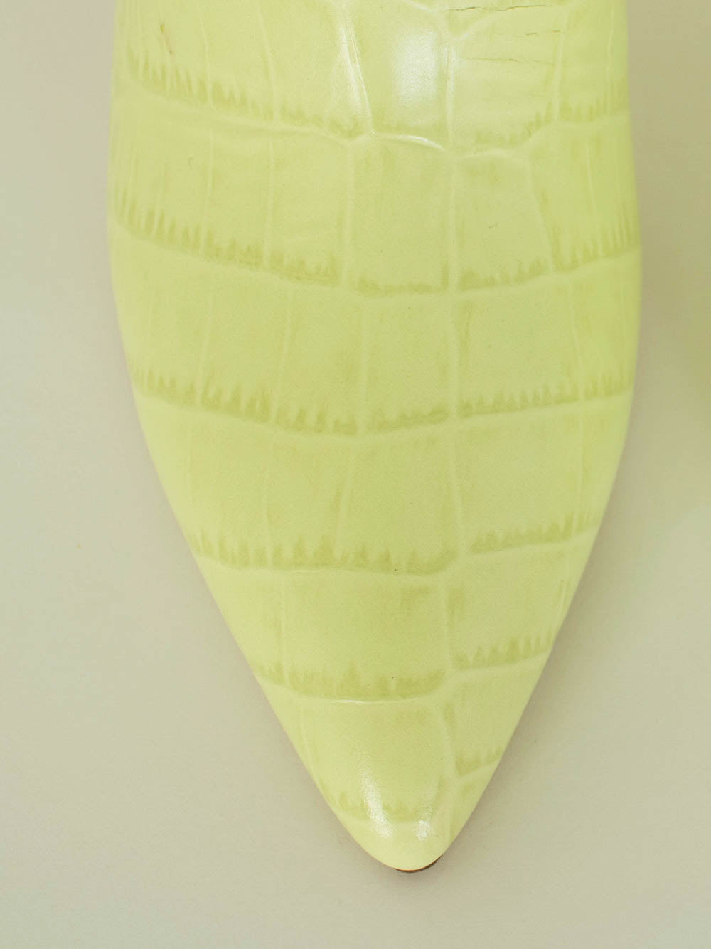 Fizigo